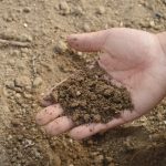 10 Working Ways to Improve Your Garden Soil 1