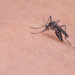 Effective home remedies that can work for mosquito bites 1